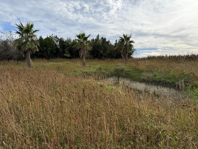 Terrain vente à France métropolitaine, Semussac