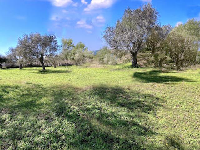Terrain vente à Arrondissement de Draguignan, Fréjus