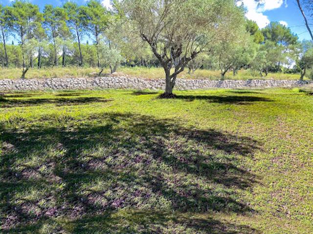 Terrain vente à Arrondissement de Draguignan, Roquebrune-sur-argens