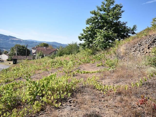 Terrain vente à Tournon-sur-Rhône, Lamastre