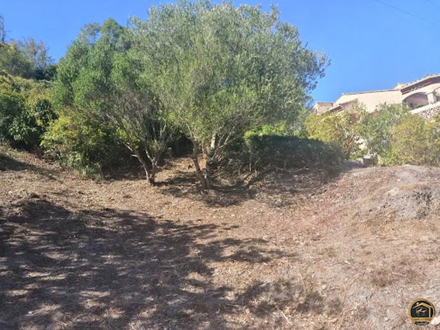 Terrain vente à Narbonne, Cascastel-des-corbières