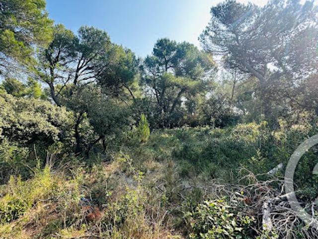 Terrain vente à Apt, Cavaillon