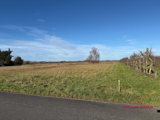 Terrain vente à Orléans, Mézières-lez-cléry
