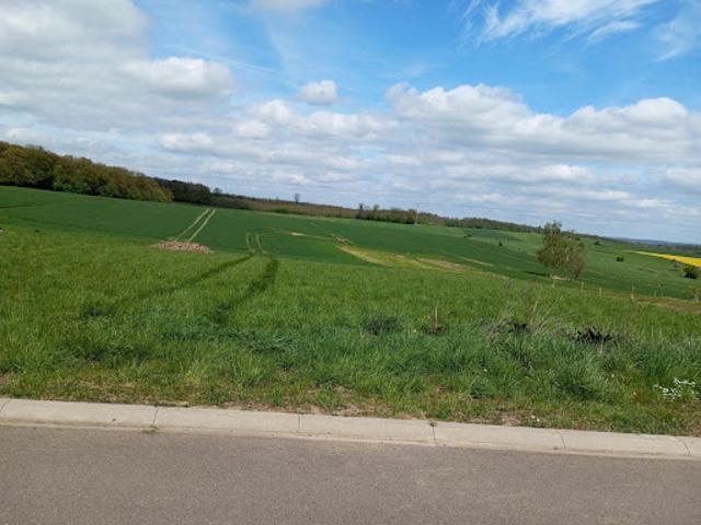Terrain vente à Sarrebourg-Château-Salins, Honskirch
