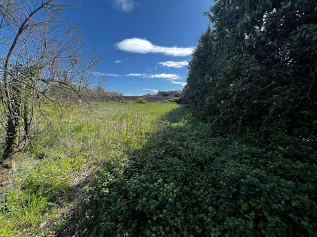 Terrain vente à Carpentras, Caderousse