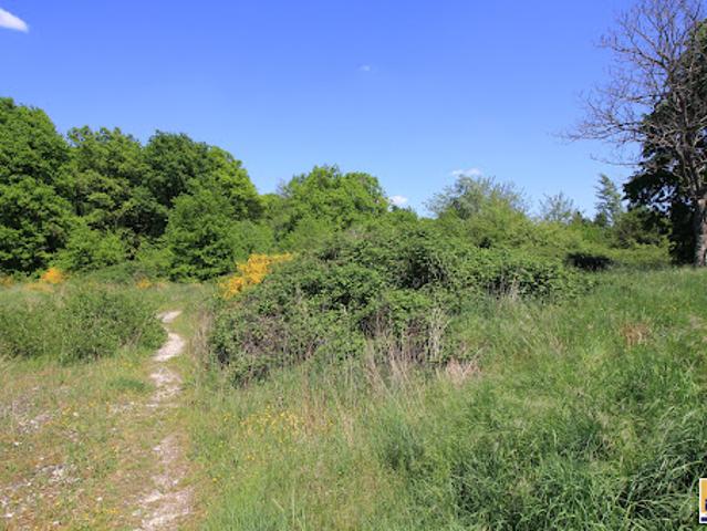 Terrain vente à Vierzon