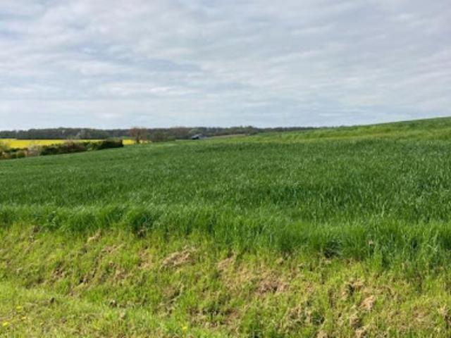 Terrain vente à Château-Thierry, La Croix-sur-ourcq