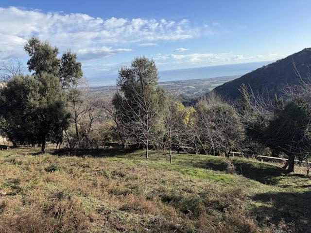 Terrain vente à Corte, Sorbo-ocagnano