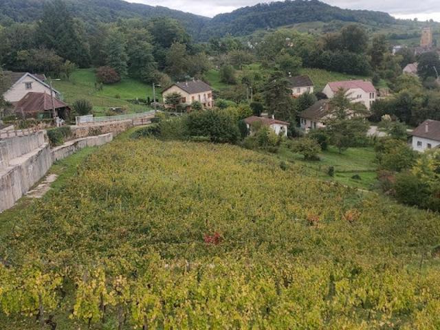 Terrain vente à Dole, Arbois
