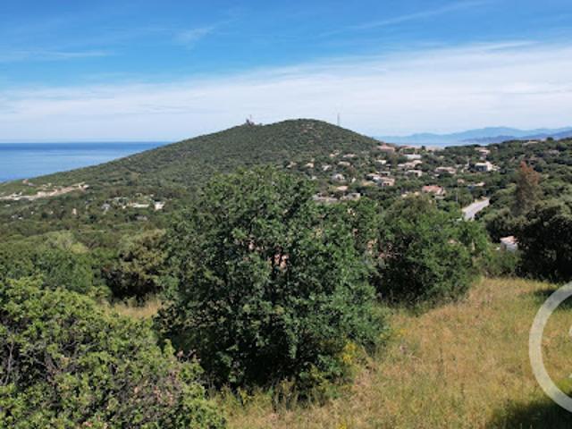 Terrain vente à Calvi, Corbara