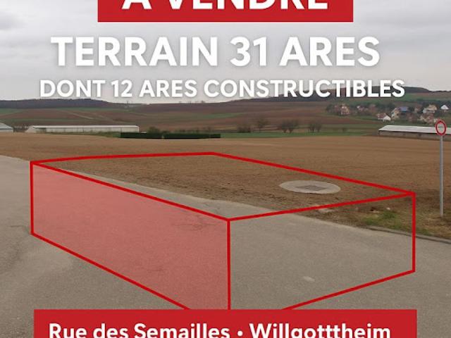 Terrain vente à Saverne, Truchtersheim