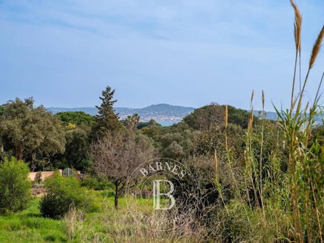 Terrain vente à Arrondissement de Draguignan, Grimaud