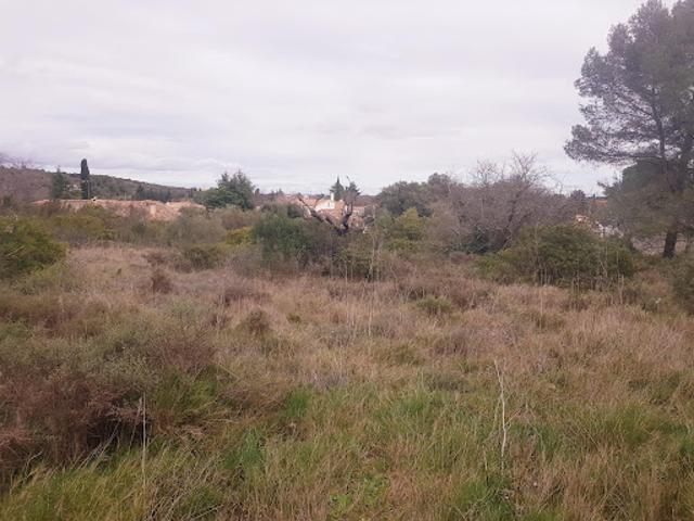 Terrain vente à Montpellier, Pignan