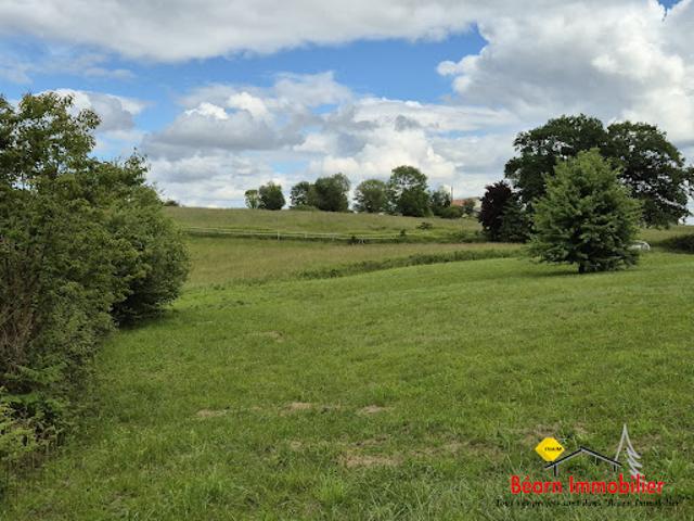 Terrain vente à Oloron-Sainte-Marie, Salies-de-béarn