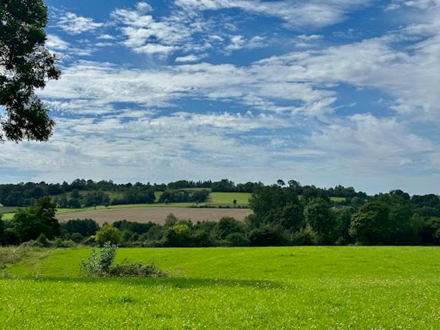 Terrain vente à Lisieux, Pont-l'evêque