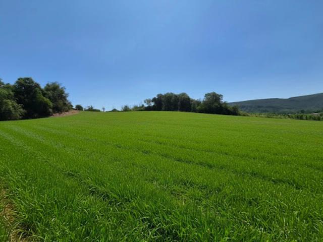 Terrain vente à Prades-sur-Vernazobre, Hérault
