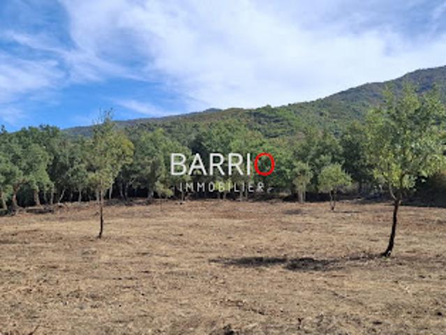 Terrain vente à Céret, Montesquieu-des-albères