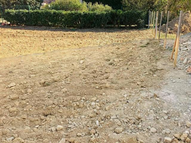 Terrain vente à Bergholtz, Collectivité européenne d'Alsace