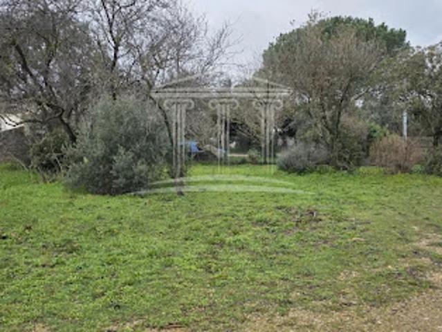 Terrain vente à Avignon, Sorgues