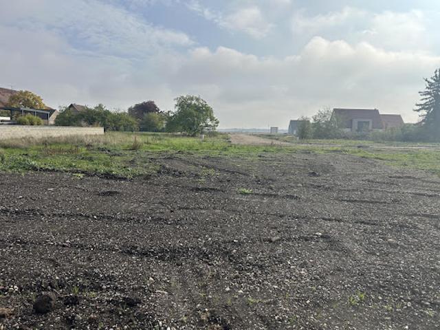 Terrain vente à Grussenheim, Collectivité européenne d'Alsace