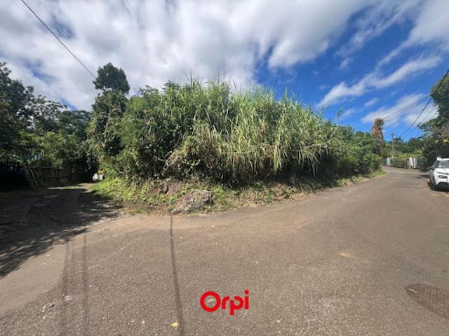 Terrain vente à La Réunion