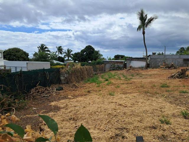 Terrain vente à La Réunion