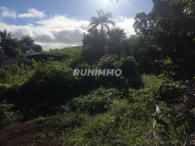 Terrain vente à La Réunion