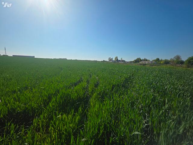 Terrain vente à Saint-Omer, Saint-martin-au-laërt