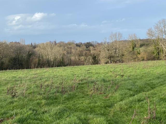 Terrain vente à Lisieux, Bourgeauville