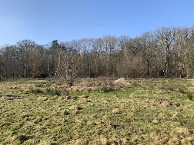 Terrain vente à Rambouillet, Vieille-eglise-en-yvelines