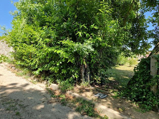 Terrain vente à La Croix, Fontenay-Saint-Père