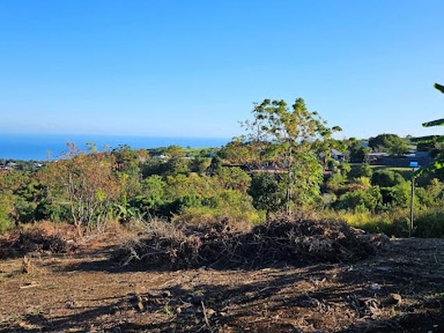 Terrain vente à La Réunion