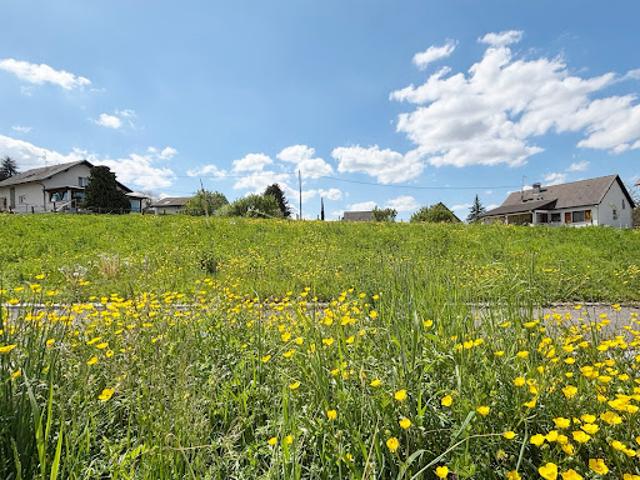 Terrain vente à Mulhouse, Dietwiller