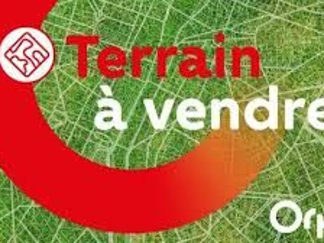 Terrain vente à Plassay, Vigne de la Croix