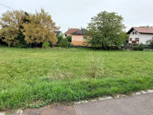 Terrain vente à Molsheim, Westhoffen