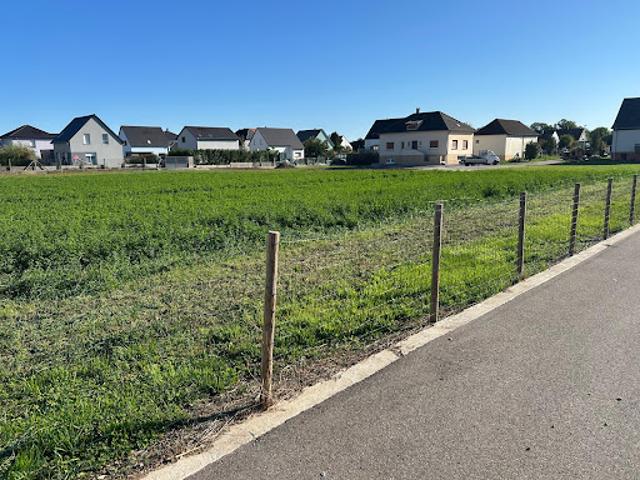 Terrain vente à Thann-Guebwiller, Oberhergheim