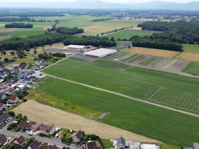 Terrain vente à Sélestat-Erstein, Bindernheim