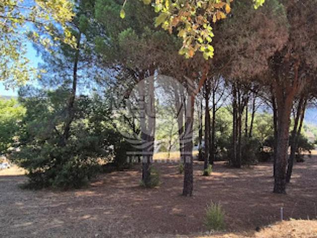 Terrain vente à Arrondissement de Draguignan, Plan-de-la-tour