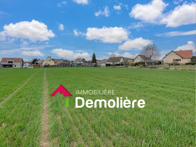 Terrain vente à Molsheim, Marlenheim