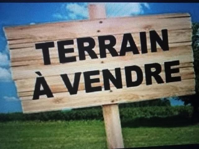 Terrain vente à Les Sables-d'Olonne, Sallertaine