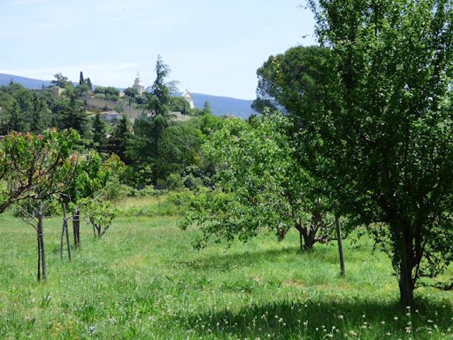 Terrain vente à Carpentras, Bédoin