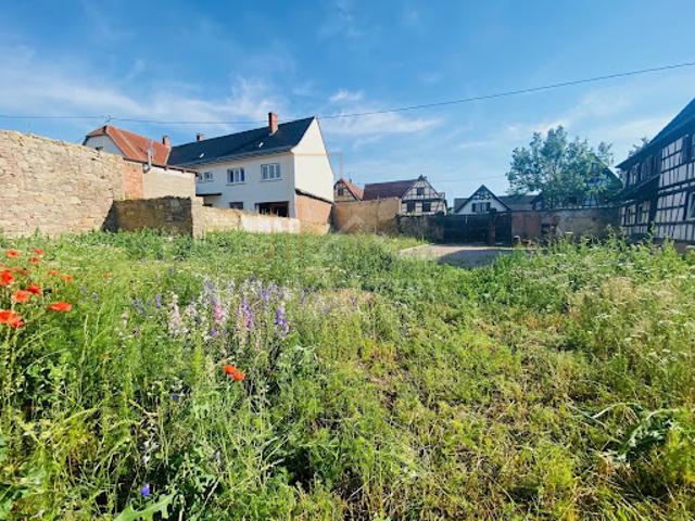 Terrain vente à Haguenau-Wissembourg, Mommenheim