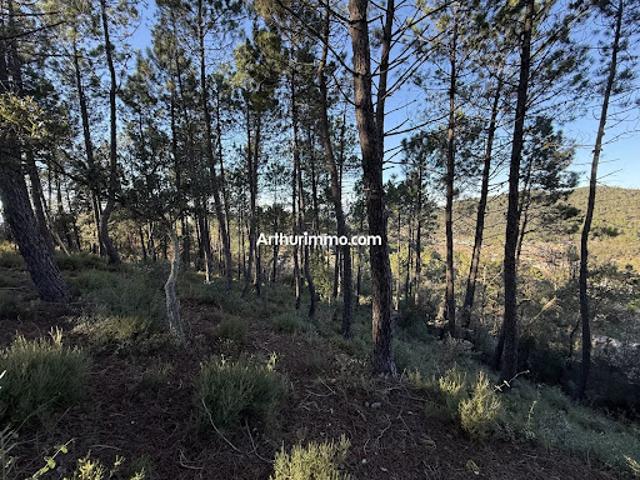 Terrain vente à Arrondissement de Draguignan, Vidauban