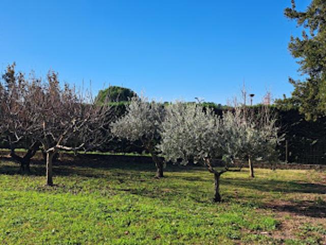 Terrain vente à Pernes-les-Fontaines, Vaucluse
