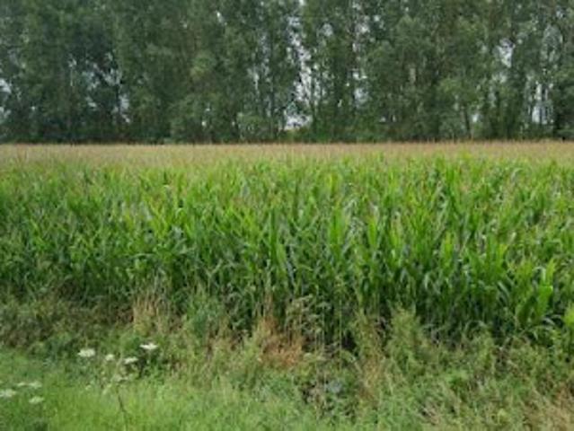 Terrain vente à Douai