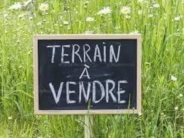 Terrain vente à Châtellerault, Dangé-saint-romain