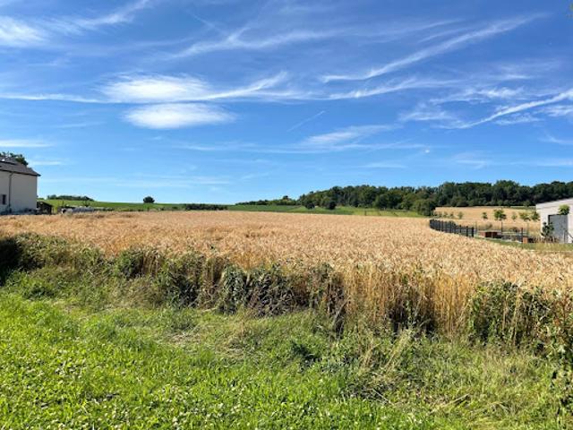 Terrain vente à Mulhouse, Rantzwiller