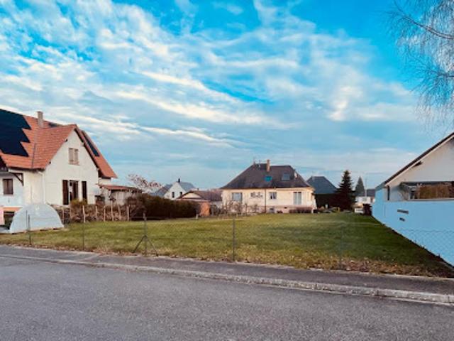 Terrain vente à Haguenau-Wissembourg, Sessenheim