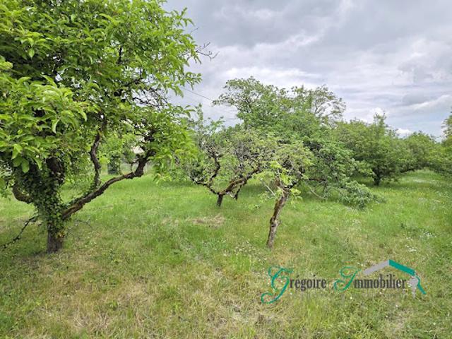 Terrain vente à Fontainebleau, Montigny-sur-loing