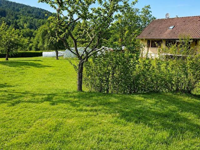Terrain vente à Saint-Dié-des-Vosges, Granges-sur-vologne